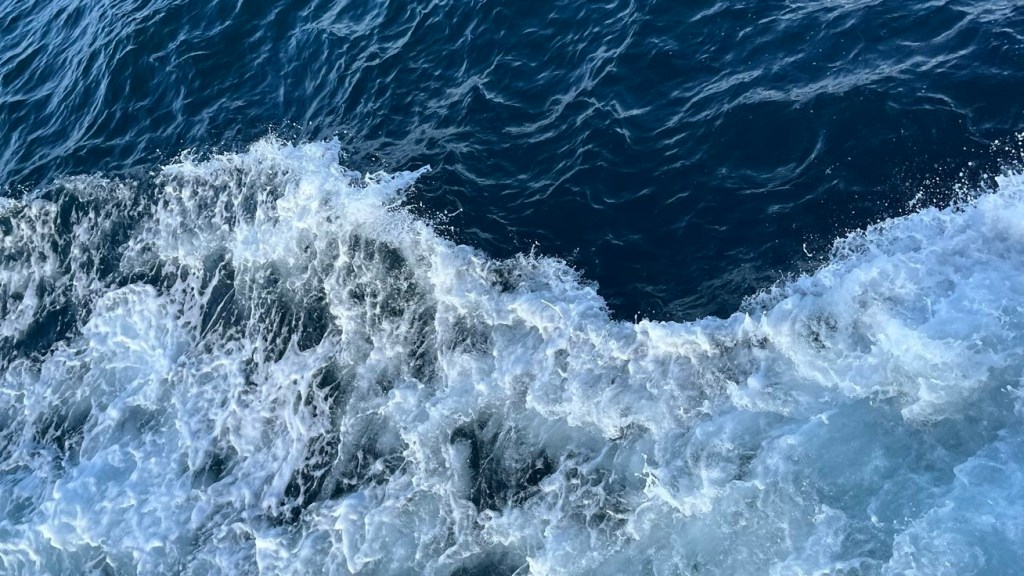 Is There An Opportunity Cost To&nbsp;Happiness?